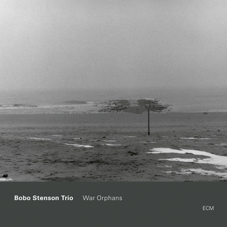 Bobo Stenson Trio War Orphans (CD)