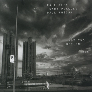 Paul Bley/Gary Peacock/Paul Motian Not Two, Not One (CD)