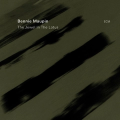 Bennie Maupin The Jewel In The Lotus (CD)