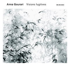 Anna Gourari Visions Fugitives (CD)