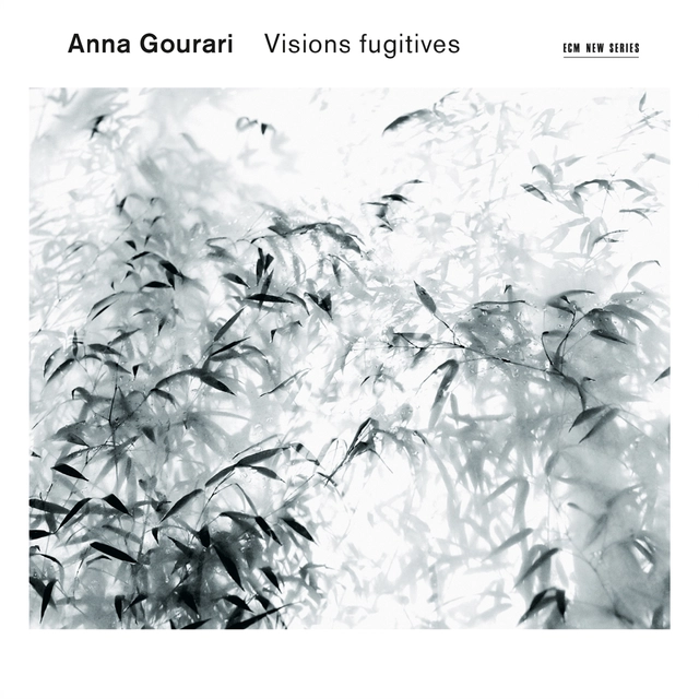 Anna Gourari Visions Fugitives (CD) 