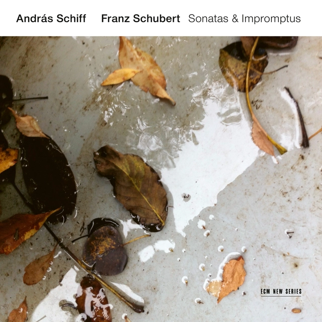 András Schiff Schubert: Sonatas & Impromptus (2CD) 