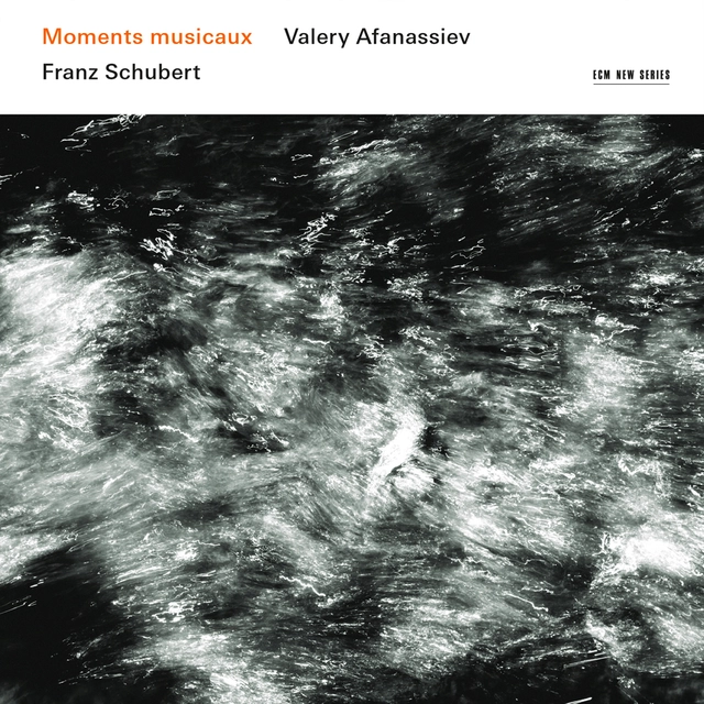 Valery Afanassiev Moments Musicaux (CD) 