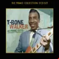 T-Bone Walker 40 Prime Cuts (2CD)