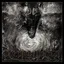 Behemoth Sventevith - LTD (2LP)