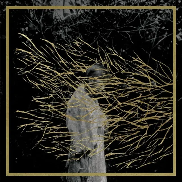 Forest Swords Engravings - 2025 Edition - LTD (LP) 