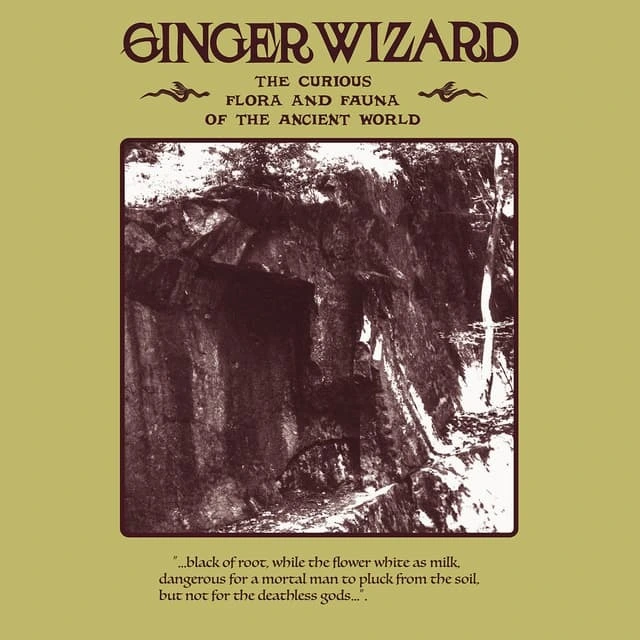 Ginger Wizard The Curious Flora And Fauna Of The… (LP) 