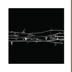 Amenra De Doorn - LTD (LP)