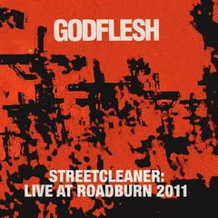 Godflesh Live At Roadburn 2011 (2LP)