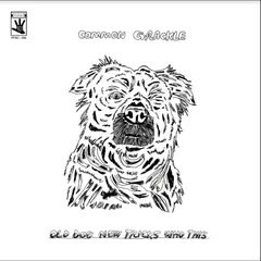 Common Grackle Old Dog New Tricks Who This (LP)