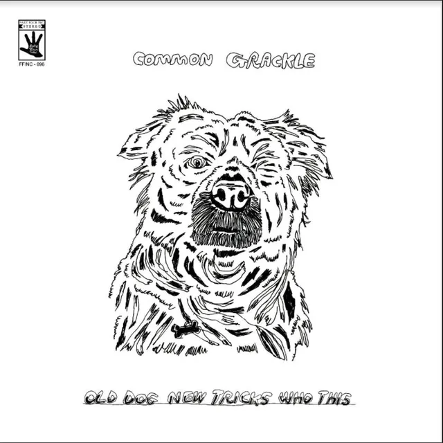 Common Grackle Old Dog New Tricks Who This (LP) 