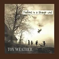 Toy Weather Feathers In A Strange Wind (LP)