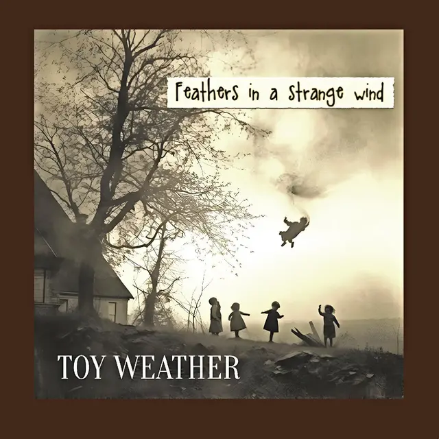 Toy Weather Feathers In A Strange Wind (LP) 