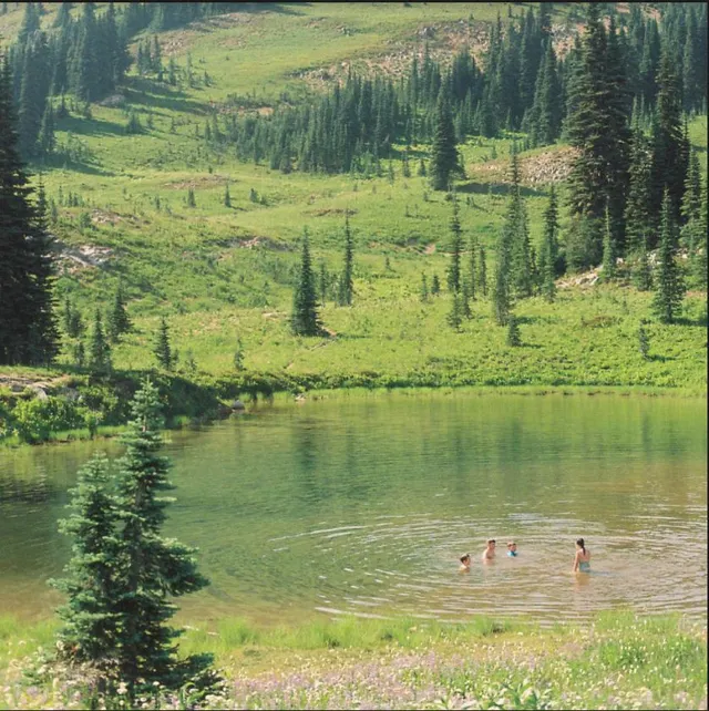 Skirts Great Big Wild Oak - LTD (LP) 