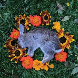 Monolord Your Time To Shine - LTD (LP)