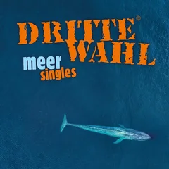 Dritte Wahl Meer Singles (LP)
