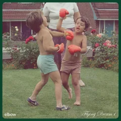 Elbow Flying Dream 1 (CD)