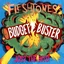 The Fleshtones Budget Buster (CD)
