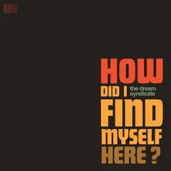 The Dream Syndicate How Did I Find Myself Here (CD)