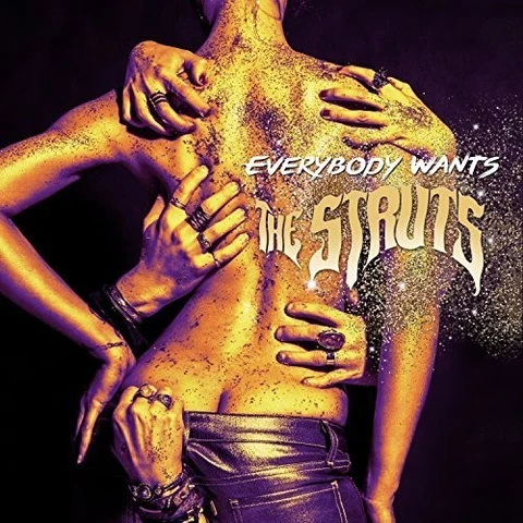 The Struts Everybody Wants (LP) 