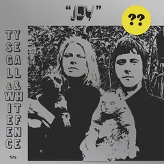 Ty Segall &amp; White Fence Joy (CD)