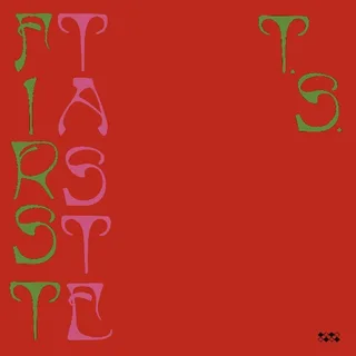Ty Segall First Taste (CD)
