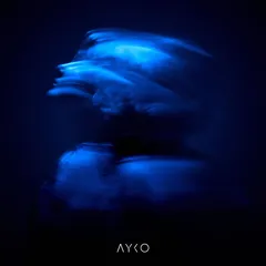 AYKO first. (LP)