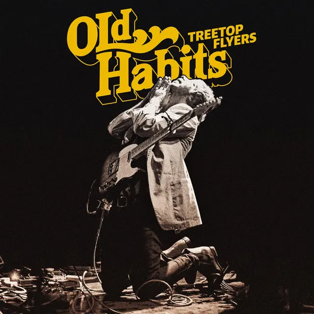 Treetop Flyers Old Habits (LP) 