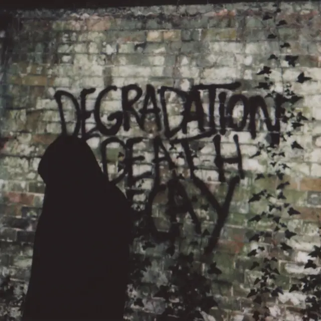 Ian Miles Degradation, Death, Decay (LP) 