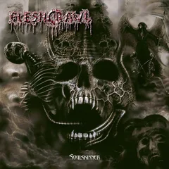 Fleshcrawl Soulskinner (LP)