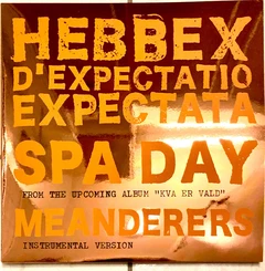 Hebbex d'Expectatio Expectata Spa Day / Meanderers (10")