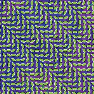Animal Collective Merriweather Post Pavillion (CD)