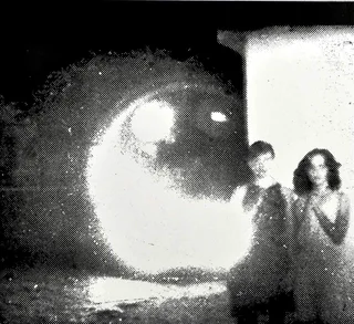 Other Lives Tamer Animals (LP)