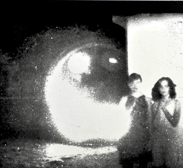 Other Lives Tamer Animals (LP) 