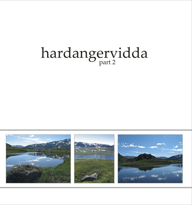 Ildjarn-Nidhogg Hardangervidda Part 2 (LP) 