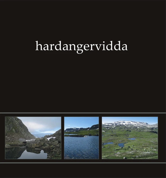 Ildjarn-Nidhogg Hardangervidda (LP) 