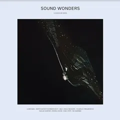 Diverse Artister Sound Wonders (LP)