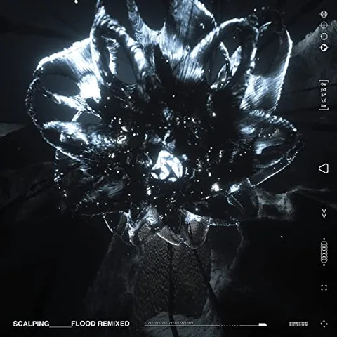 Scalping Flood Remixed (LP) 