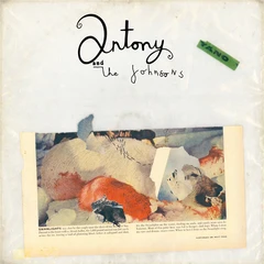 Antony &amp; The Johnsons Swanlights (CD)
