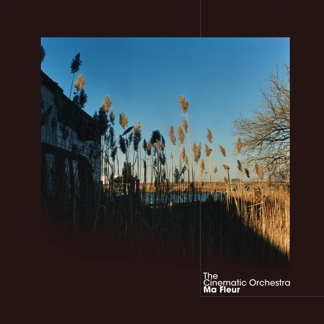 The Cinematic Orchestra Ma Fleur (CD) 