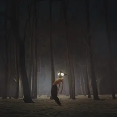 Geese Projector (CD)