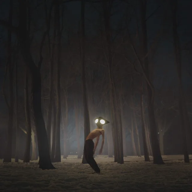 Geese Projector (CD) 