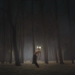 Geese Projector (LP)