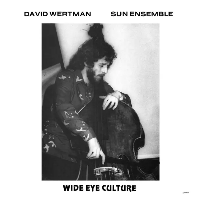 David Wertman & Sun Ensemble Wide Eye Culture - Deluxe Version (3LP) 