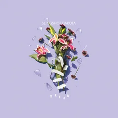Slingshot Dakota Break (LP)