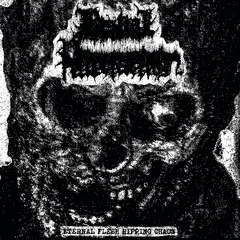 Bestial Putrefaction Eternal Flesh Ripping Chaos (LP)