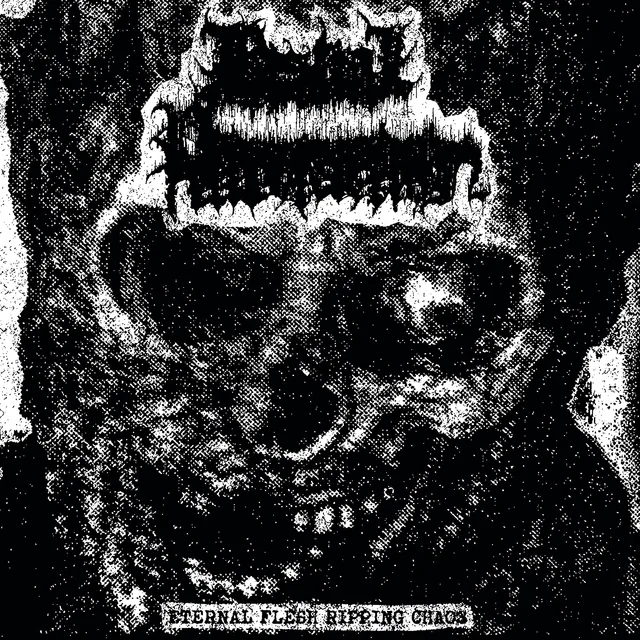Bestial Putrefaction Eternal Flesh Ripping Chaos (LP) 