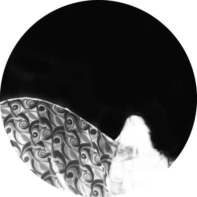 Ashtray Navigations Before You Play This (LP) 