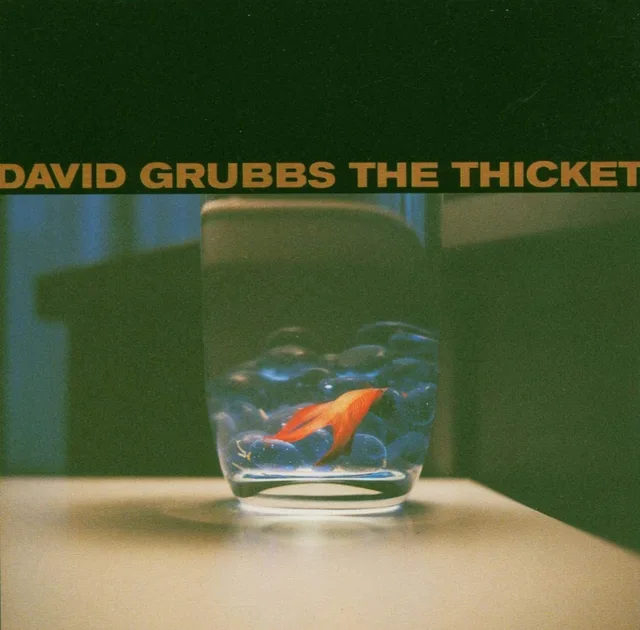 David Grubbs Thicket (CD) 