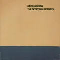 David Grubbs Spectrum Between (CD)
